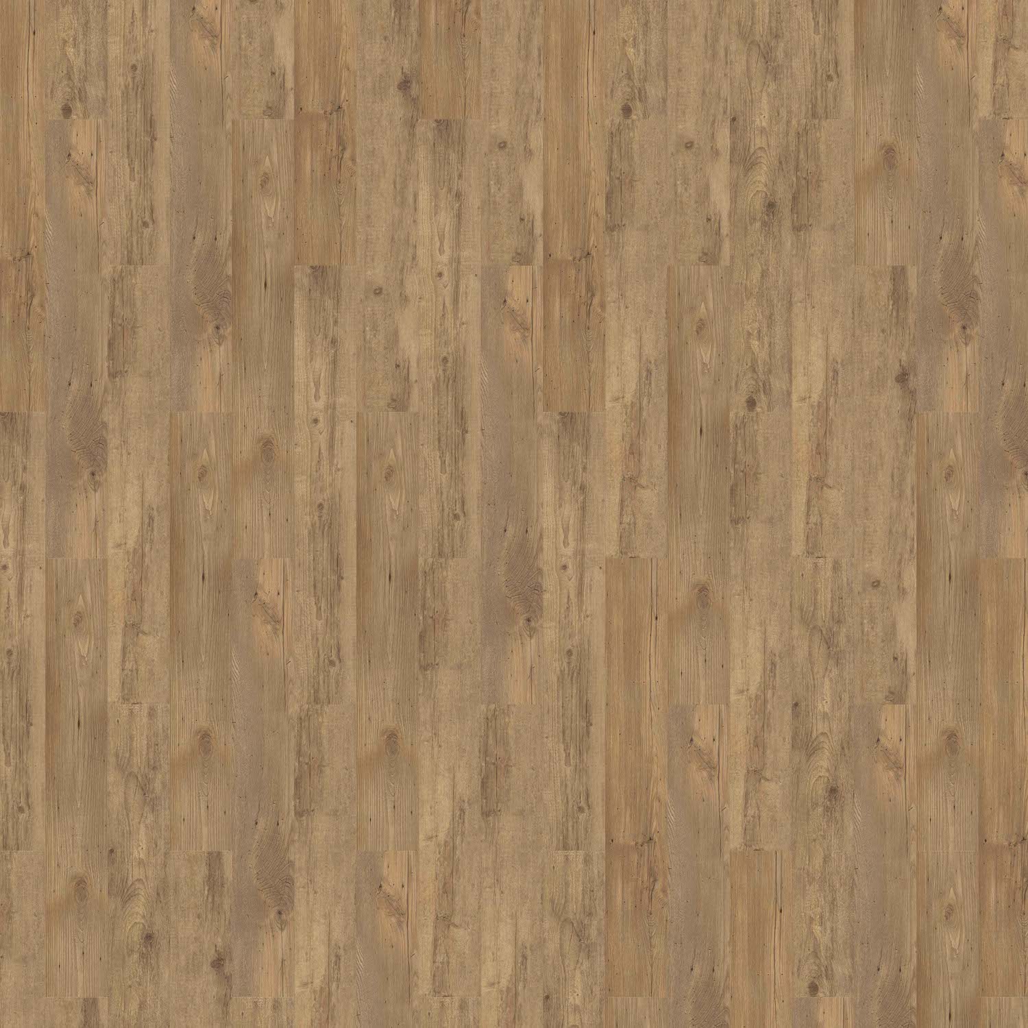 Vinyl 39.99€/m² SolidLock Authentic Shade von Repac MF98735