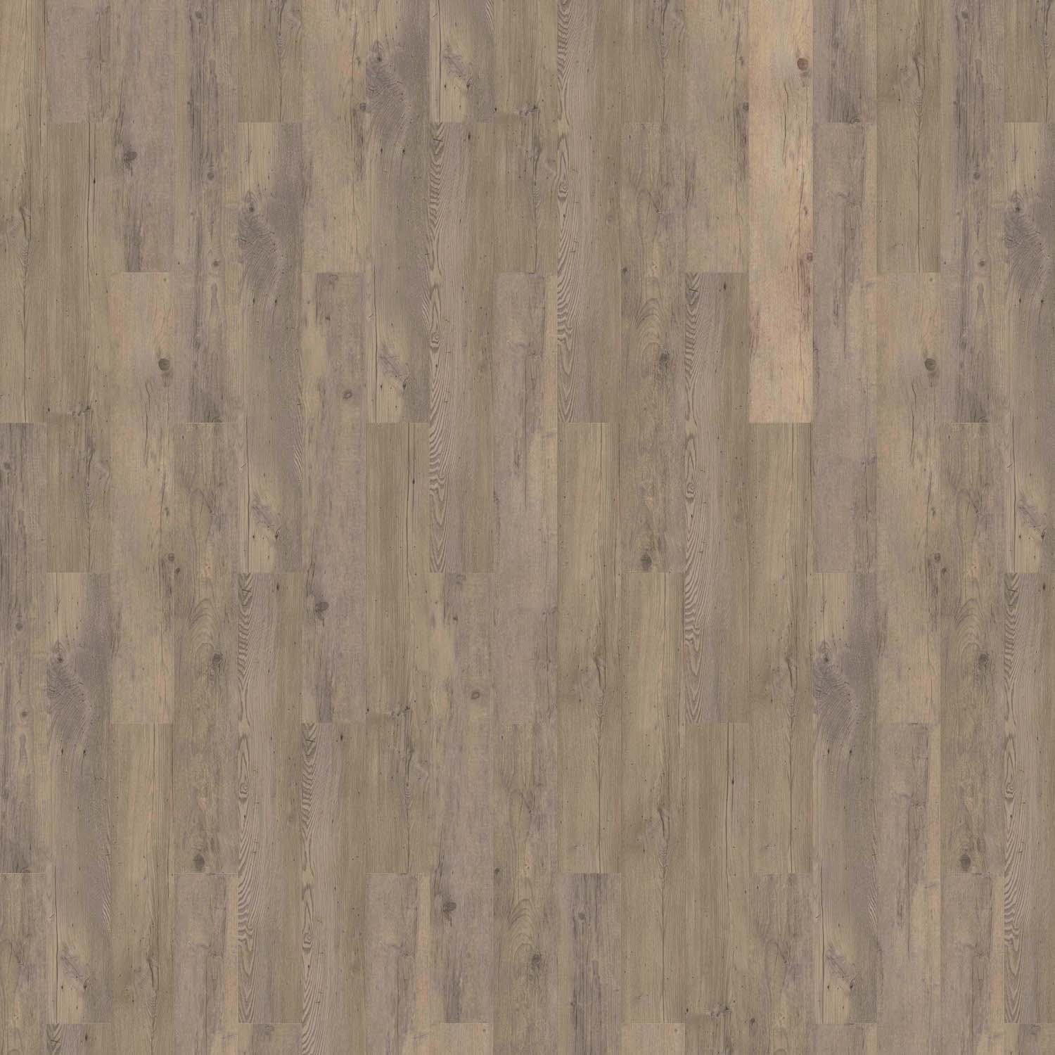 Vinyl 39.99€/m² SolidLock Authentic Sylvian von Repac MF98734