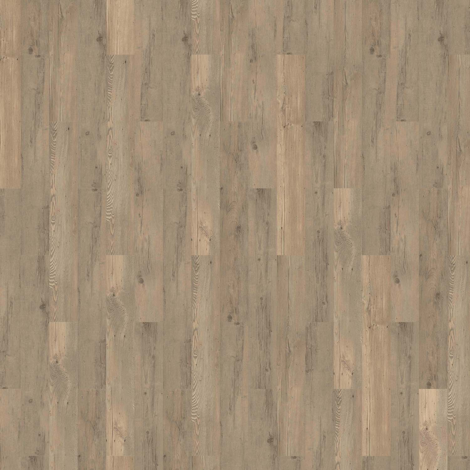 Vinyl 39.99€/m² SolidLock Authentic Verde von Repac MF98733