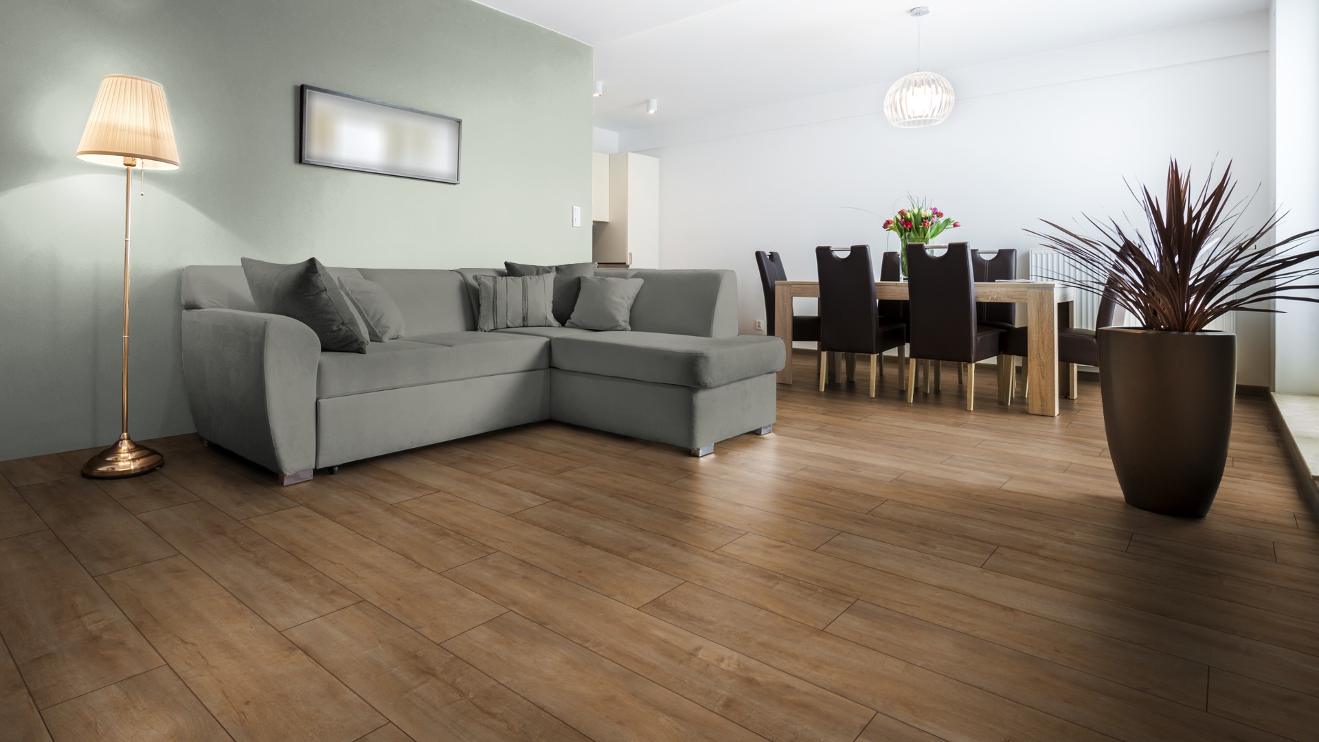 Laminat 18,99€/m² BoDomo Eiche Orient natur – Bild 2