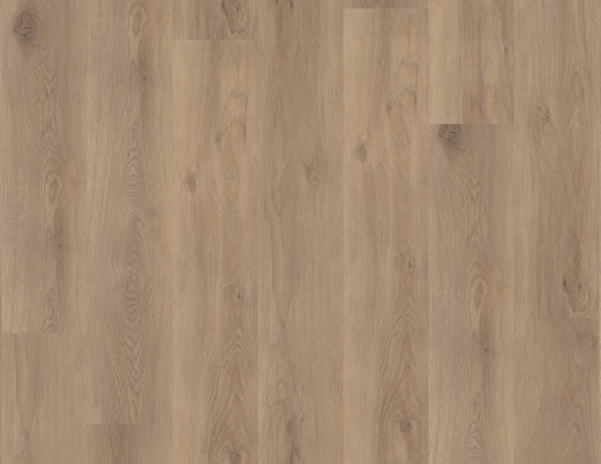 Vinyl 52.99€/m² Coretec Meadow