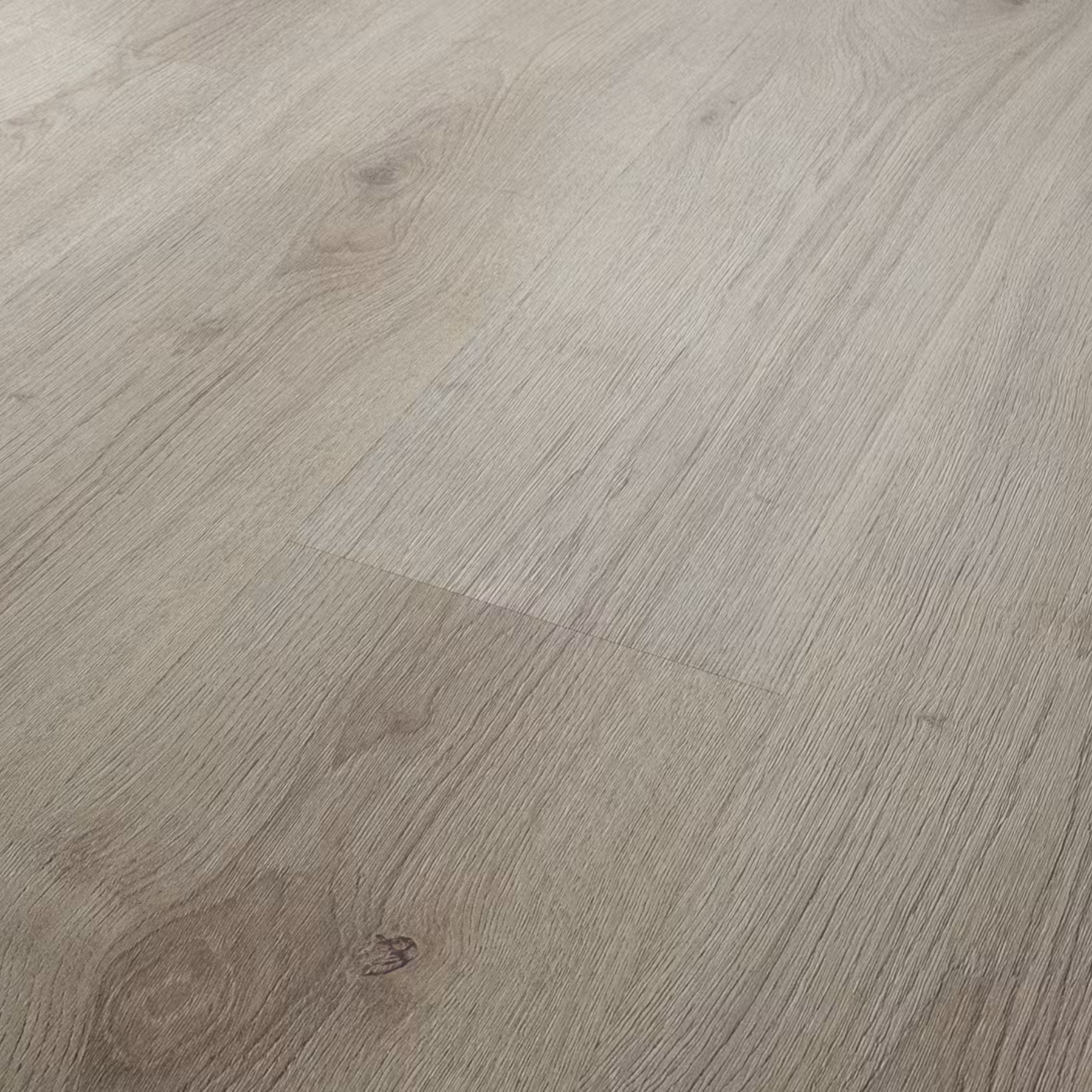 Laminat 13,99€/m² BoDomo Trend Oak Grau