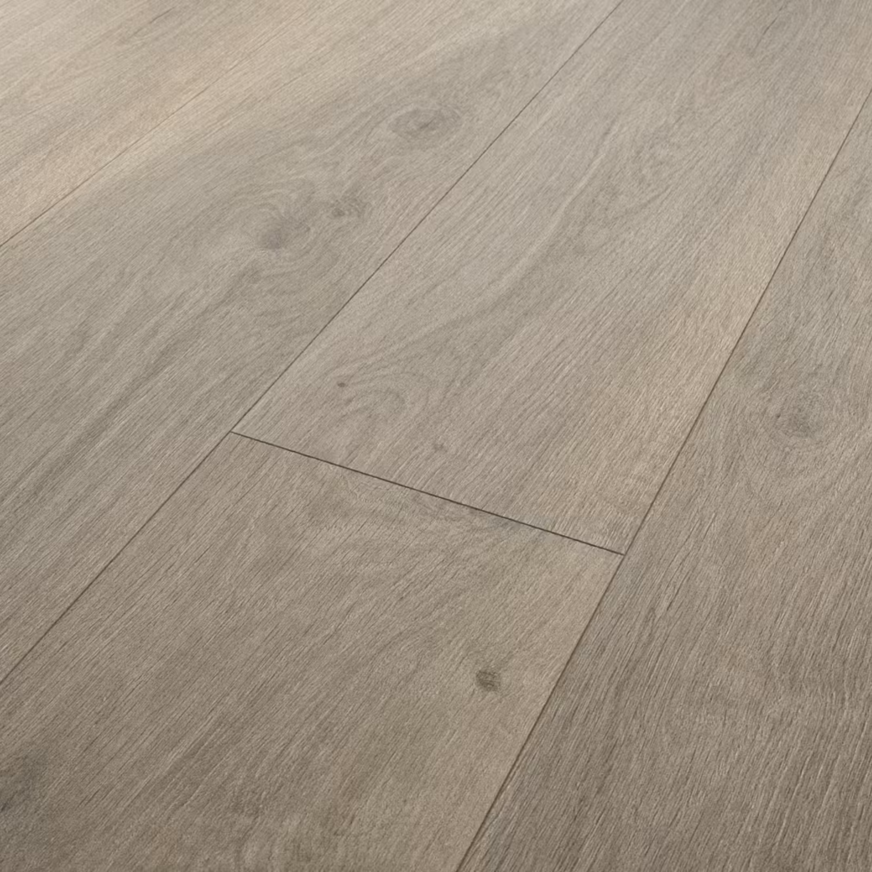 Laminat 15,99€/m² BoDomo Tajo Eiche Grau