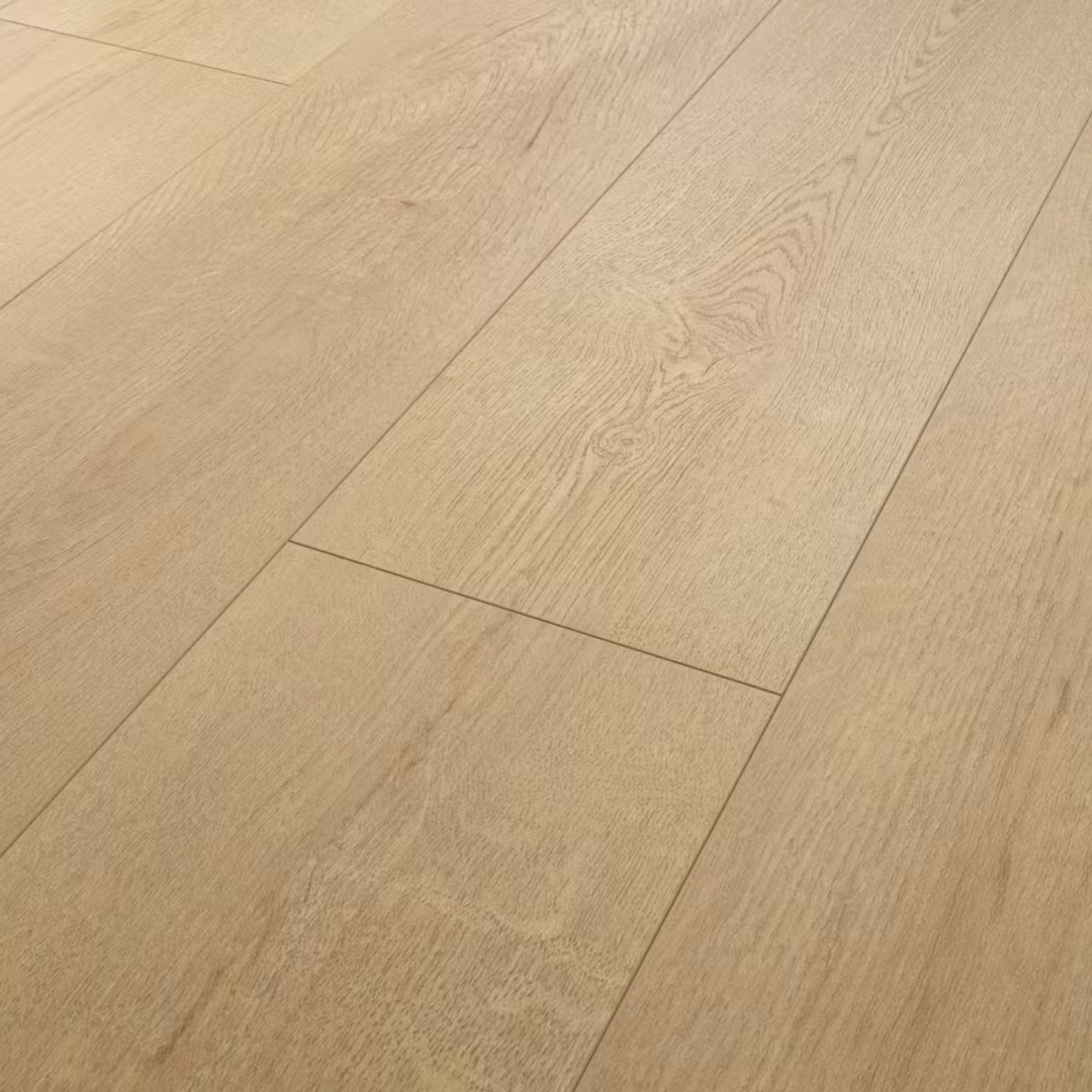 Laminat 18,99€/m² BoDomo Exquisit Virginia Oak natur